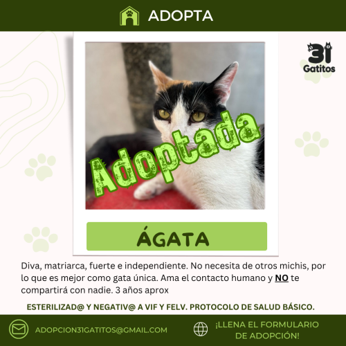 Agata