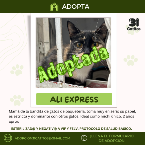 AliExpress