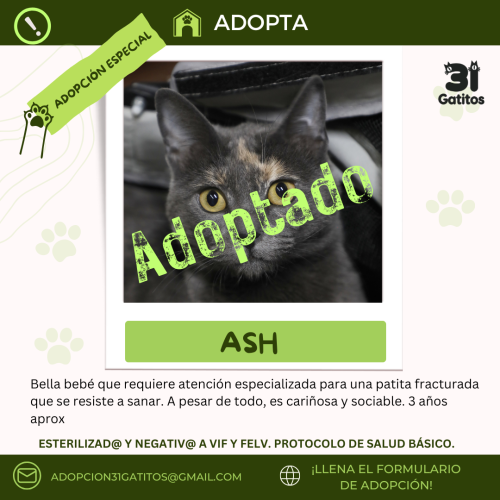 Ash