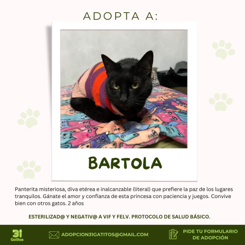 Bartola