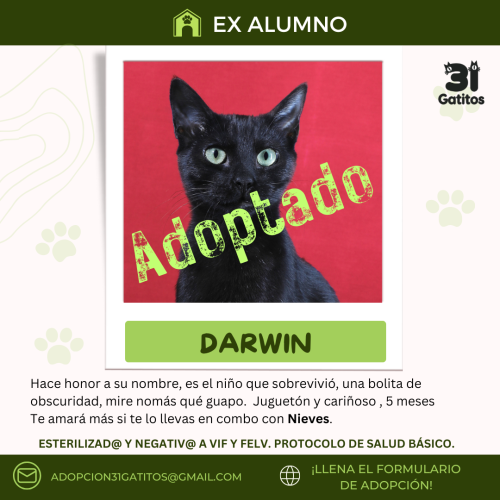 Darwin