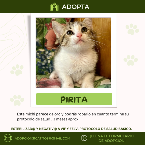 Fichas-adopcion-57