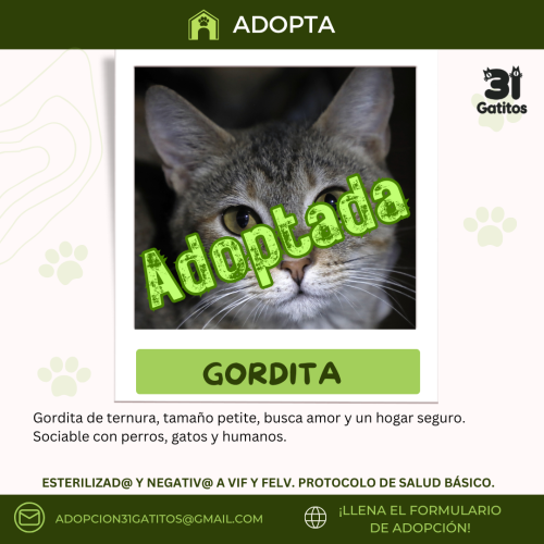 Gordita