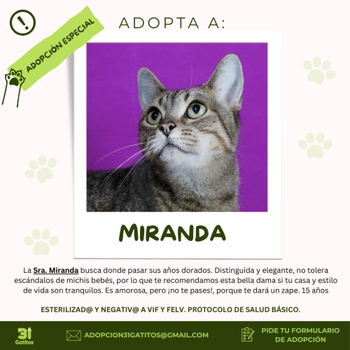 Miranda