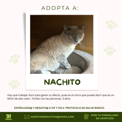 Nachito