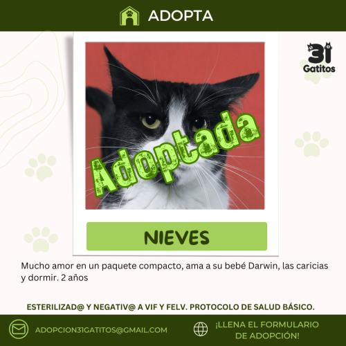 Nieves