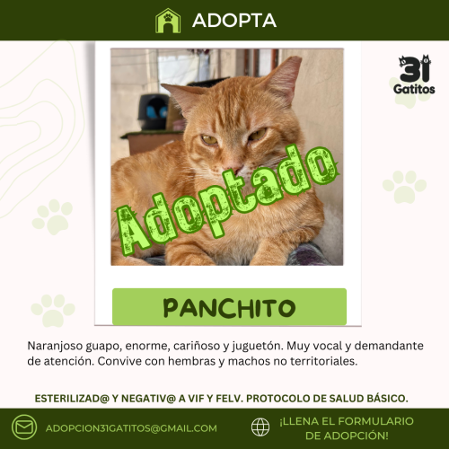 Panchito
