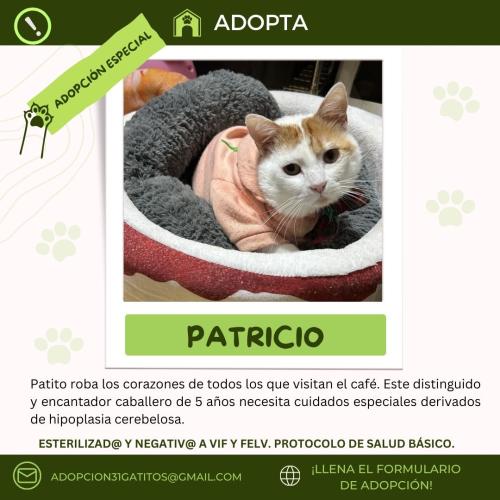 Patricio