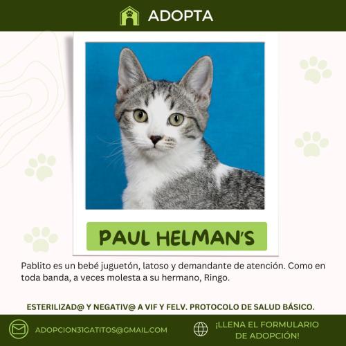Paul