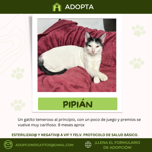 Pipian